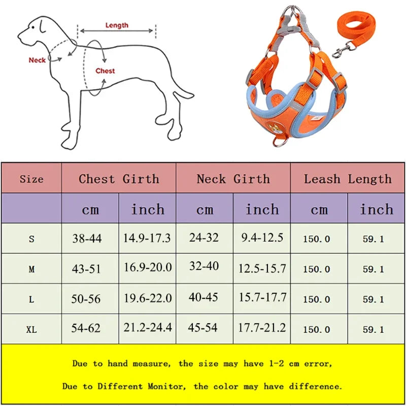 Conjunto de Coleira Ajustável para Cães