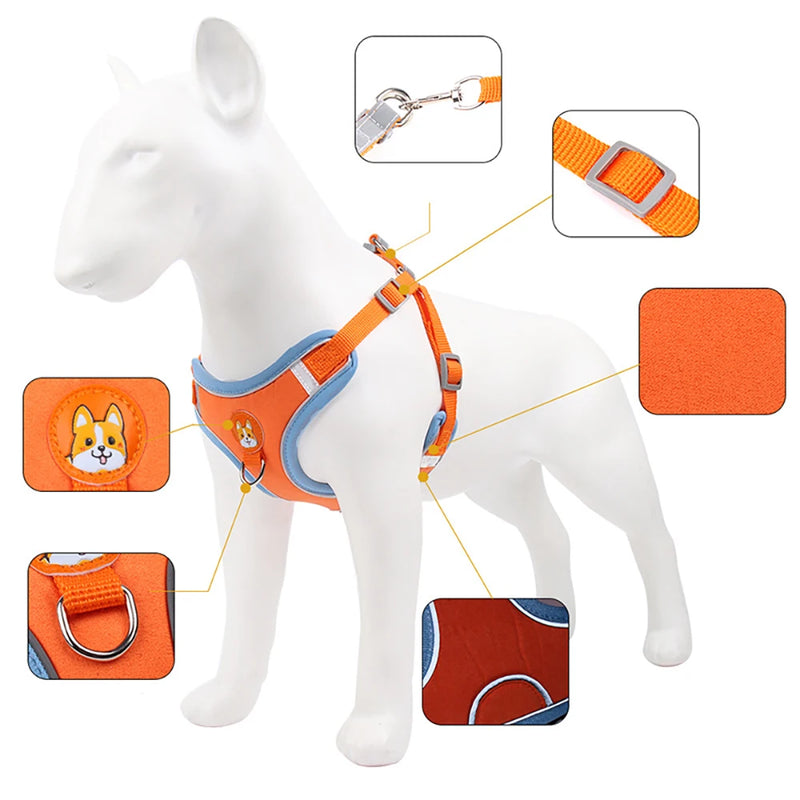 Conjunto de Coleira Ajustável para Cães