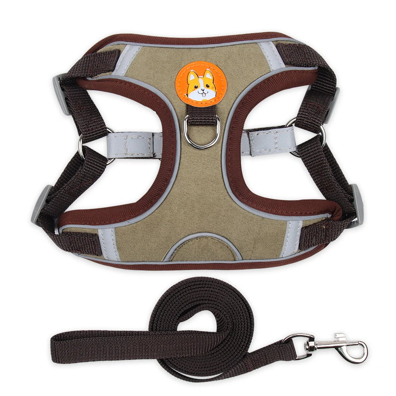 Conjunto de Coleira Ajustável para Cães